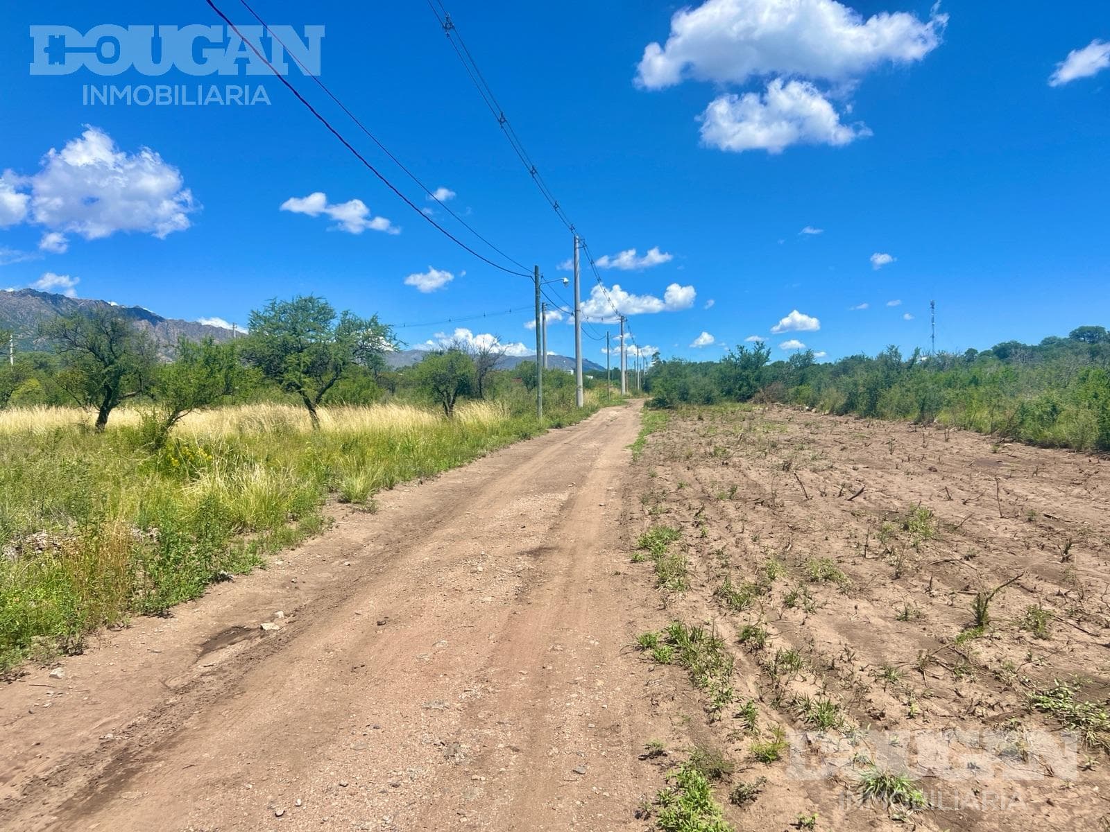 Terreno en Venta en Cortaderas - Suelos Puntanos - imagen 5