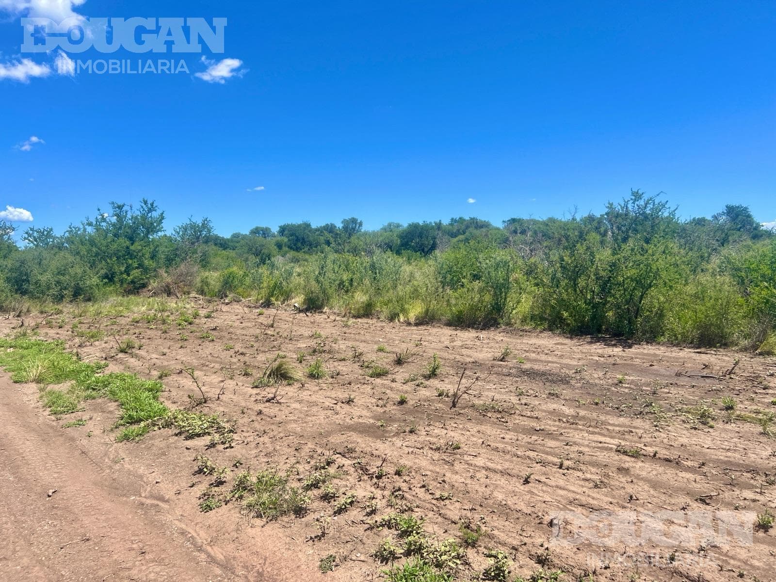 Terreno en Venta en Cortaderas - Suelos Puntanos - imagen 7