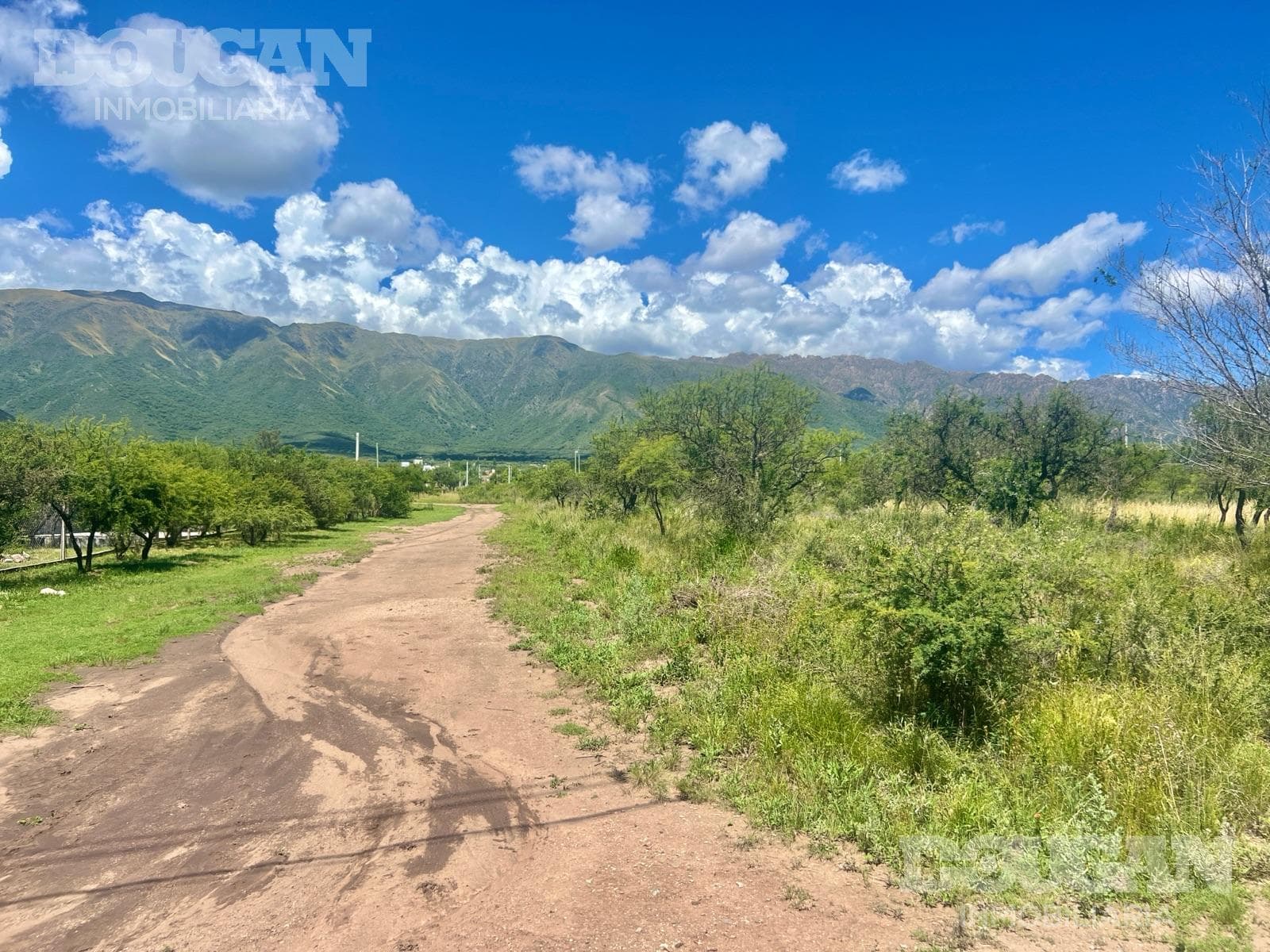 Terreno en Venta en Cortaderas - Suelos Puntanos - imagen 9