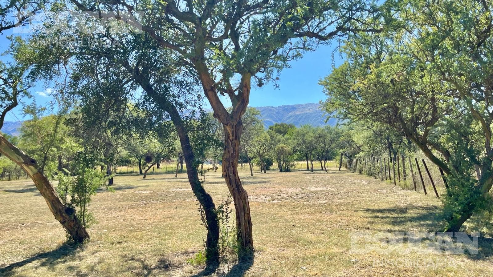 Terreno en Venta en Los Molles - Pringles - imagen 14